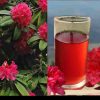 Buransh flower juice Benifits Hindi uttarakhand