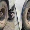 Roorkee roadways bus bike accident today