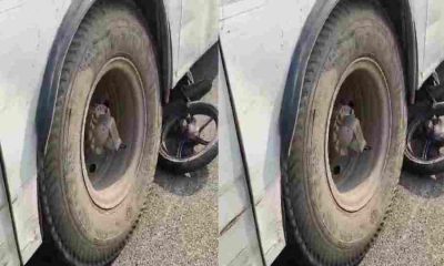 Roorkee roadways bus bike accident today