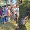 Ramnagar python rescue news