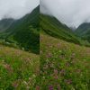 Valley of Flowers Uttarakhand