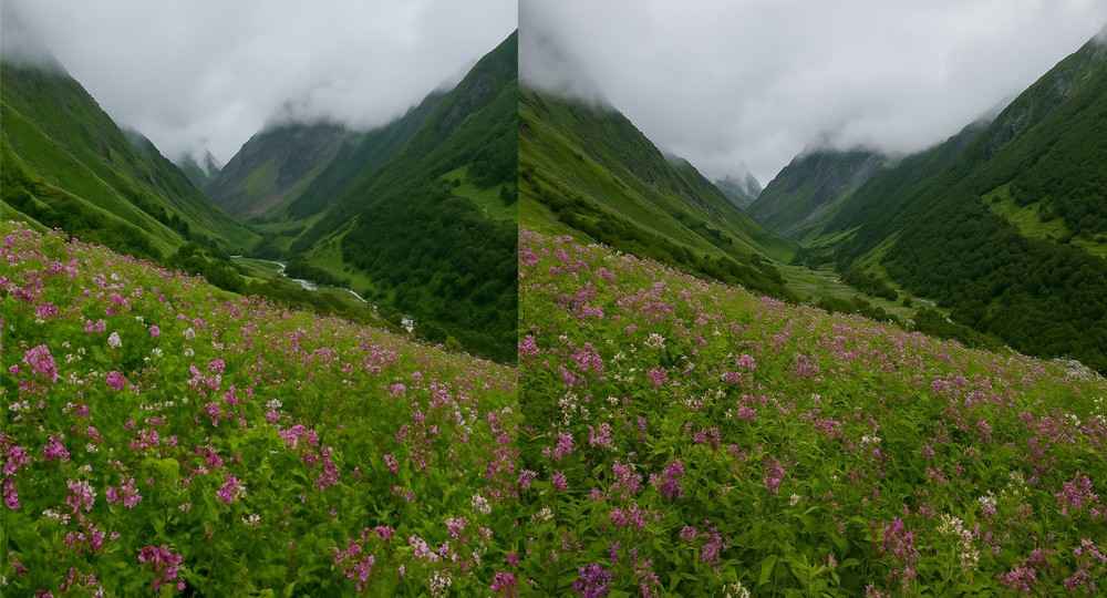 Valley of Flowers Uttarakhand